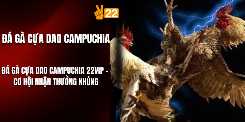 Đá Gà Cựa Dao Campuchia 22VIP - Cơ Hội Nhận Thưởng Khủng