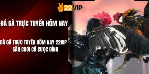 Đá Gà Trực Tuyến Hôm Nay 22VIP – Sân Chơi Cá Cược Đỉnh