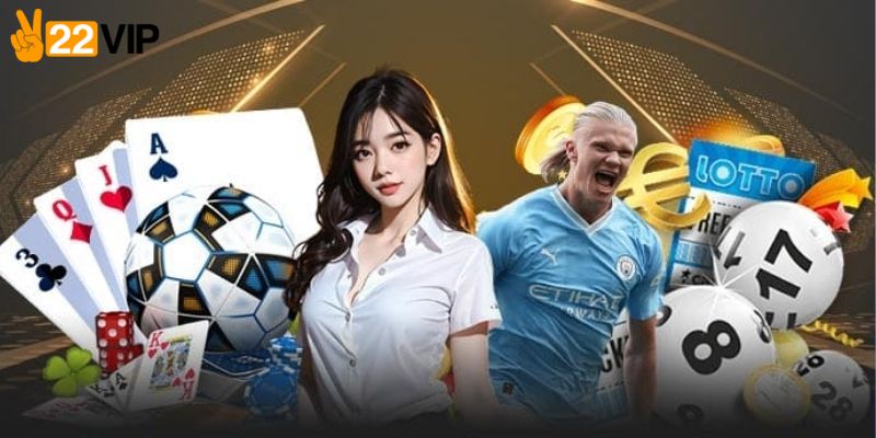 Tìm hiểu sơ lược giấy phép hoạt động của nền tảng